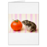 Hamster and tomato cards