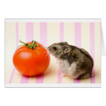 Hamster and tomato greeting card