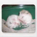 Hamster babies (mousepad)