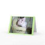 Hamster Belated Birthday cards