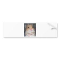 hamster bumper stickers by agunggsm hamster bumper stickers
