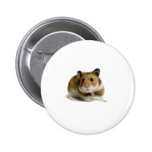 Hamster Button