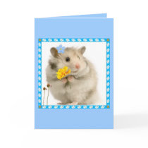 hamster card