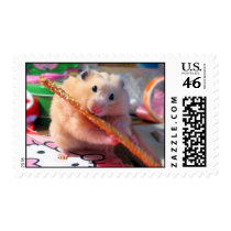 Hamster chewing stamps