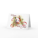 Hamster Christmas Cards