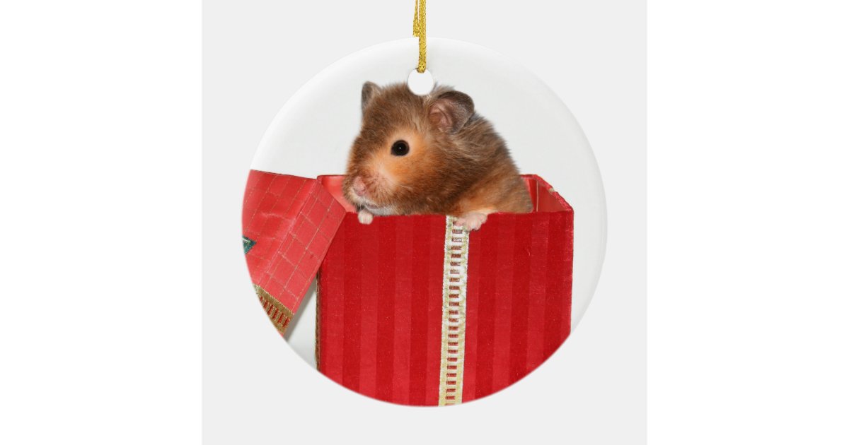 hamster christmas gift ceramic ornament zazzle hamster christmas gift ceramic ornament zazzle