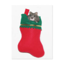 Hamster Christmas stocking postcards by deemac1 Hamster Christmas stocking postcards