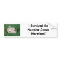 Hamster Dance Marathon bumper stickers by commmark Hamster Dance Marathon bumper stickers