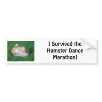 Hamster Dance Marathon bumper stickers