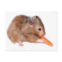 Hamster diet card postcards by deemac1 Hamster diet card postcards