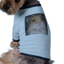 hamster pet clothing