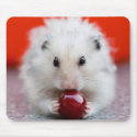 Hamster eating cherry. Mousepad