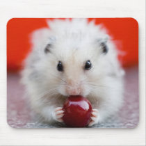 Hamster eating cherry. Mousepad