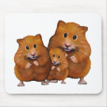 Hamster Family of Three: Cute: Color Pencil Mousepads