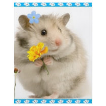 hamster flyer