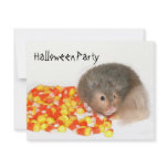 Hamster Halloween Party Personalized Invites