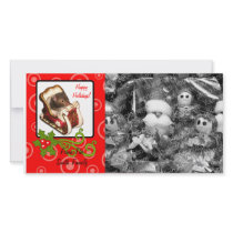 Hamster in a sled photo cards