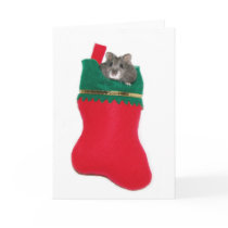 Hamster in Christmas stocking Greeting Card