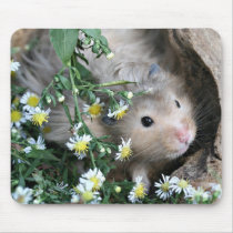 hamster mousepad by deemac1 hamster mousepad