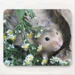 hamster mousepad