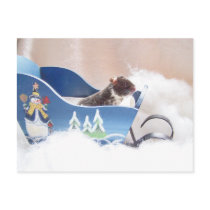 Hamster noah sledding postcards by KatAnnette Hamster noah sledding postcards