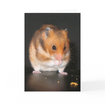 Hamster notecard