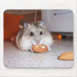 Hamster Pad Mouse Mat