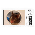 Hamster postage