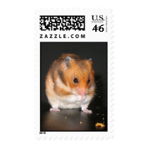 Hamster postage stamps by photoinspiration Hamster postage stamps