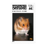 Hamster postage stamps