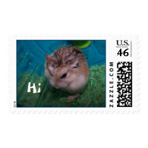 Hamster Postage Stamps