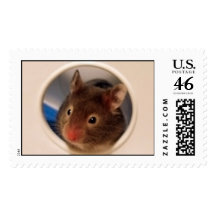 Hamster Stamp