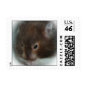 Hamster Stamp by abrodents Hamster Stamp