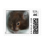Hamster Stamp