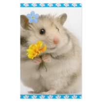 hamster stationery