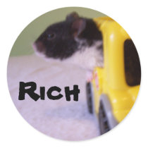 hamster sticker with name Rich