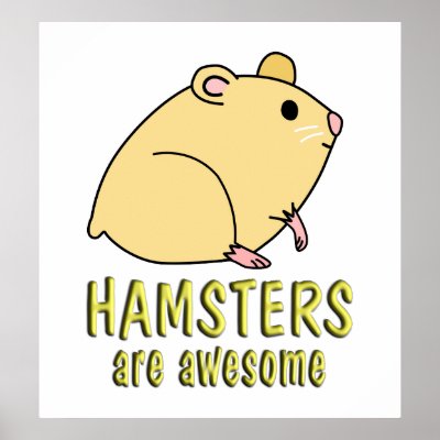 Google Images Hamster