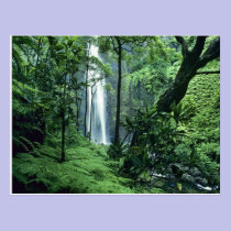 Hanakapiai Falls along the Na Pali Coast, Kauai, postcards