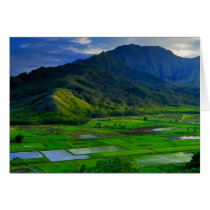 Hanalei River Valley, Kauai Cards
