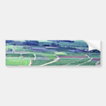 Hanalei Taro Fields - Kauai Bumper Stickers