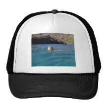 Hanauma Bay Hawai Turtle Hats