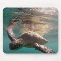 HANAUMA BAY HAWAII - Hawaii Sea Turtle Mousepad