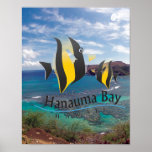 Hanauma Bay Hawaii Poster