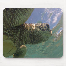 Hanauma Bay Hawaii Turtle Mousepad