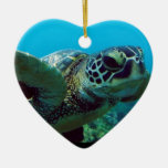 Hanauma Bay - Oahu hawaii Christmas Ornaments