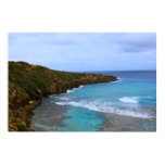 hanauma bay oahu posters