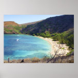 Hanauma Bay Print