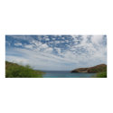 Hanauma Cove Panorama posters