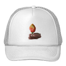 Hand And Hot Habernero Pepper Photograph Hat