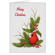 Hand-Drawn Christmas Illustration: Holly, Cardinal